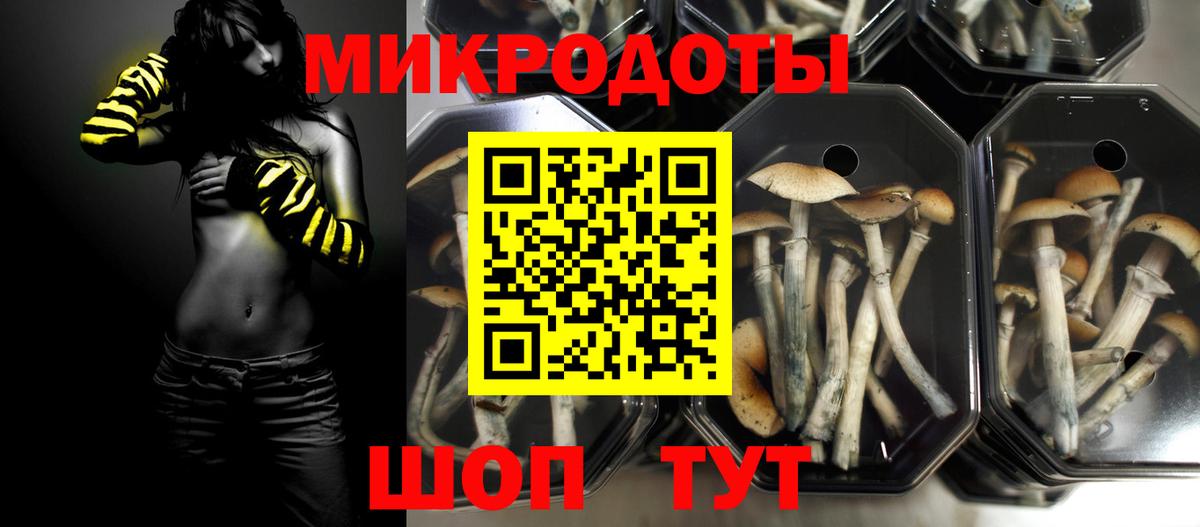 Псилоцибиновые грибы мухоморы Астрахань