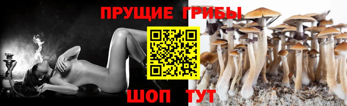Псилоцибиновые грибы Cubensis  Вход с VPN  Астрахань  Галлюциногенные грибы Magic Shrooms 